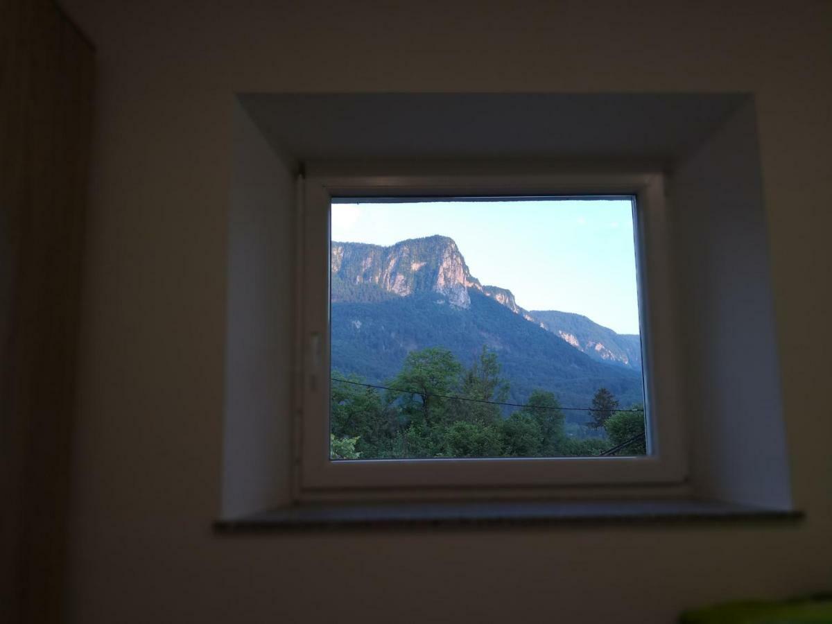 Apartmaji Zupan Bohinjska Bela Kültér fotó